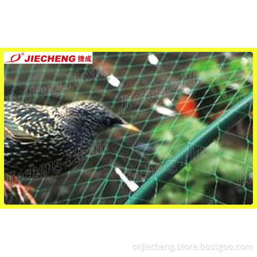 Bio Oriented Net Extrusion Machine